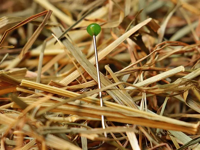 Les meilleures pratiques pour récupérer vos objets perdus rapidement